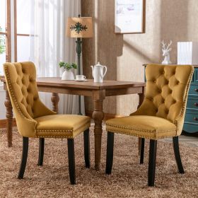 Nikki Collection Modern, High-end Tufted Solid Wood Contemporary Velvet Upholstered Dining Chair with Wood Legs Nailhead Trim 2-Pcs Set,Gloden